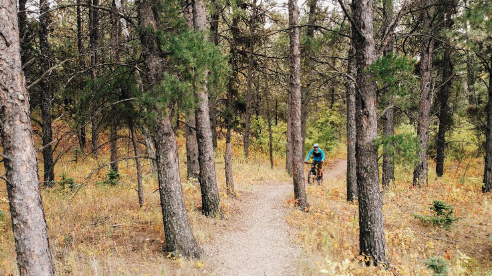 Denbigh Experimental Forest, United States